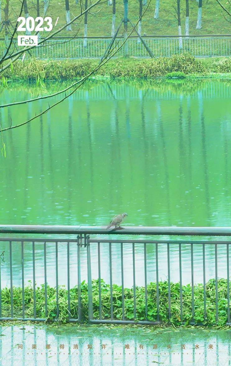 海报.jpg