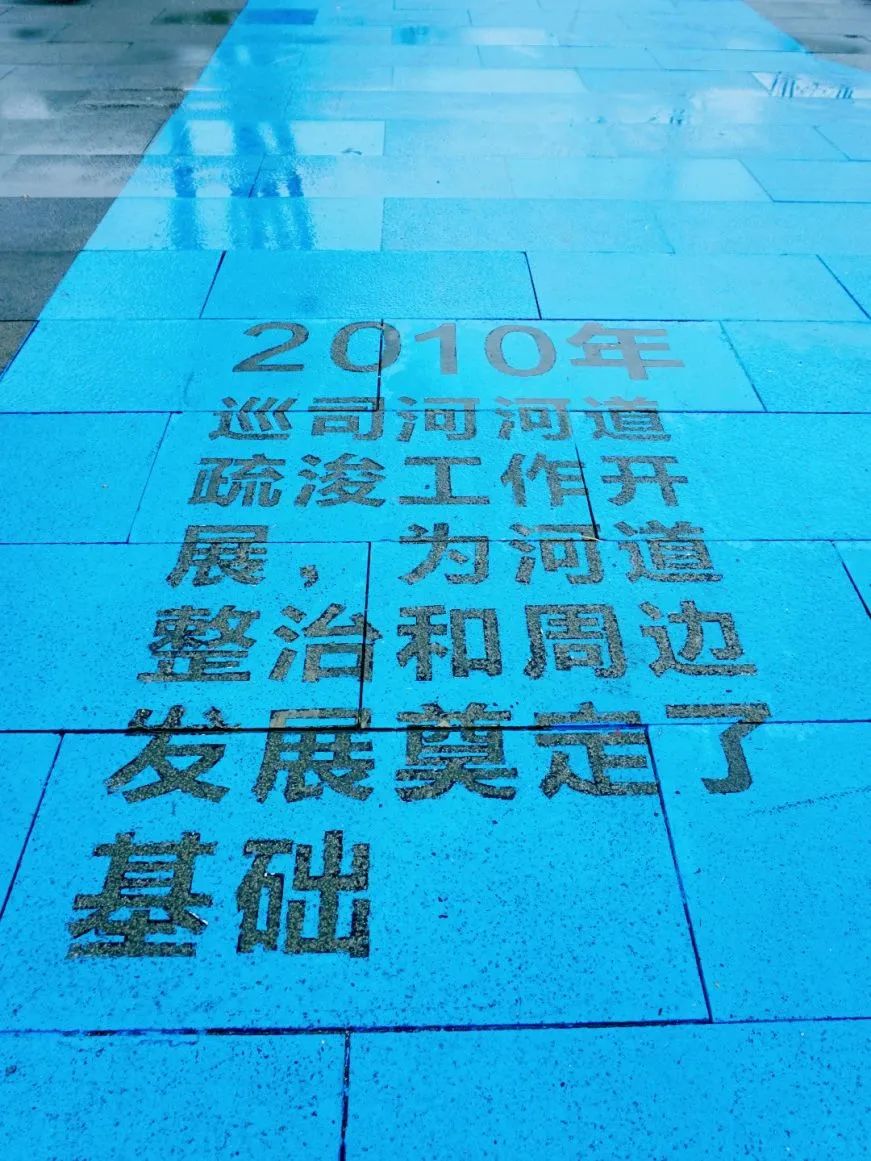 DSC08922.jpg